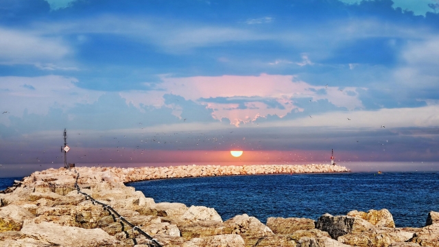 K1体育集团：乒乓球台发票编码在哪查