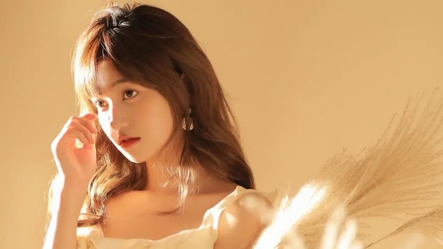 田径跳高比赛训练会用到什么器材