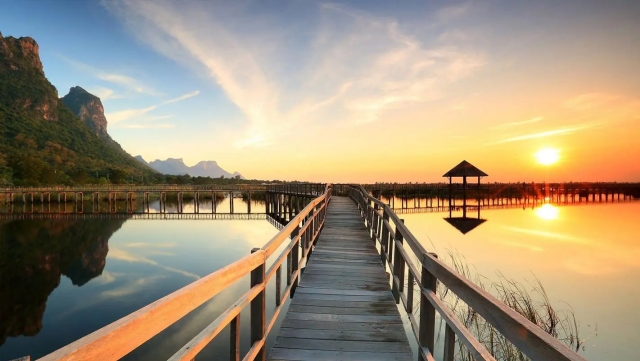 K1体育：打篮球的器材叫什么